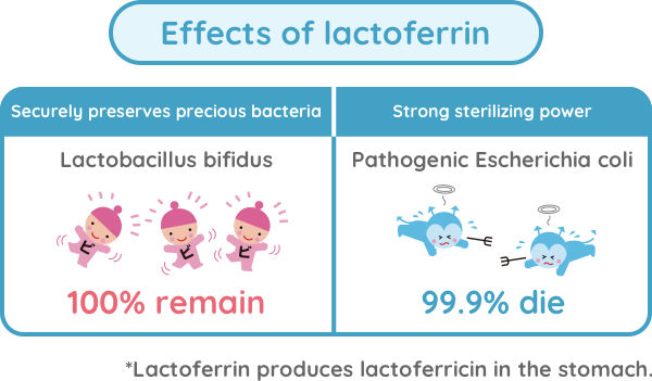 Effects of lactoferrin