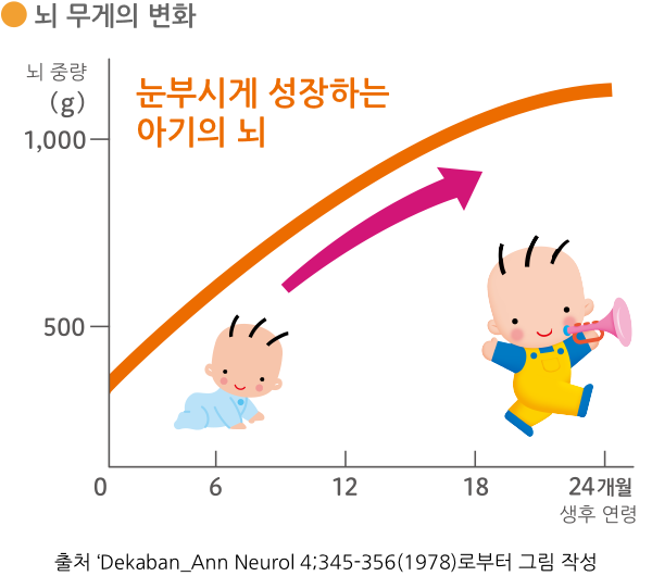 뇌 무게의 변화