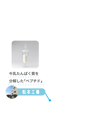 牛乳たんぱく質を分解した「ペプチド」 松本工場