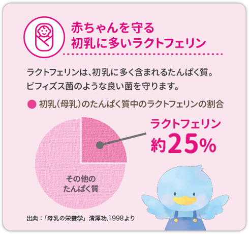 赤ちゃんを守る初乳に多いラクトフェリン