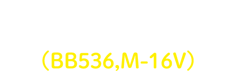 ビフィズス菌(BB536,M-16V)