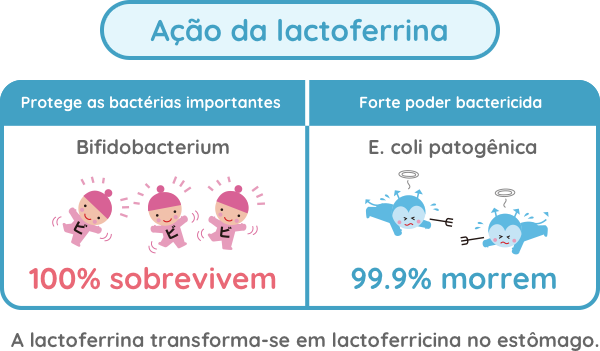Ação da lactoferrina