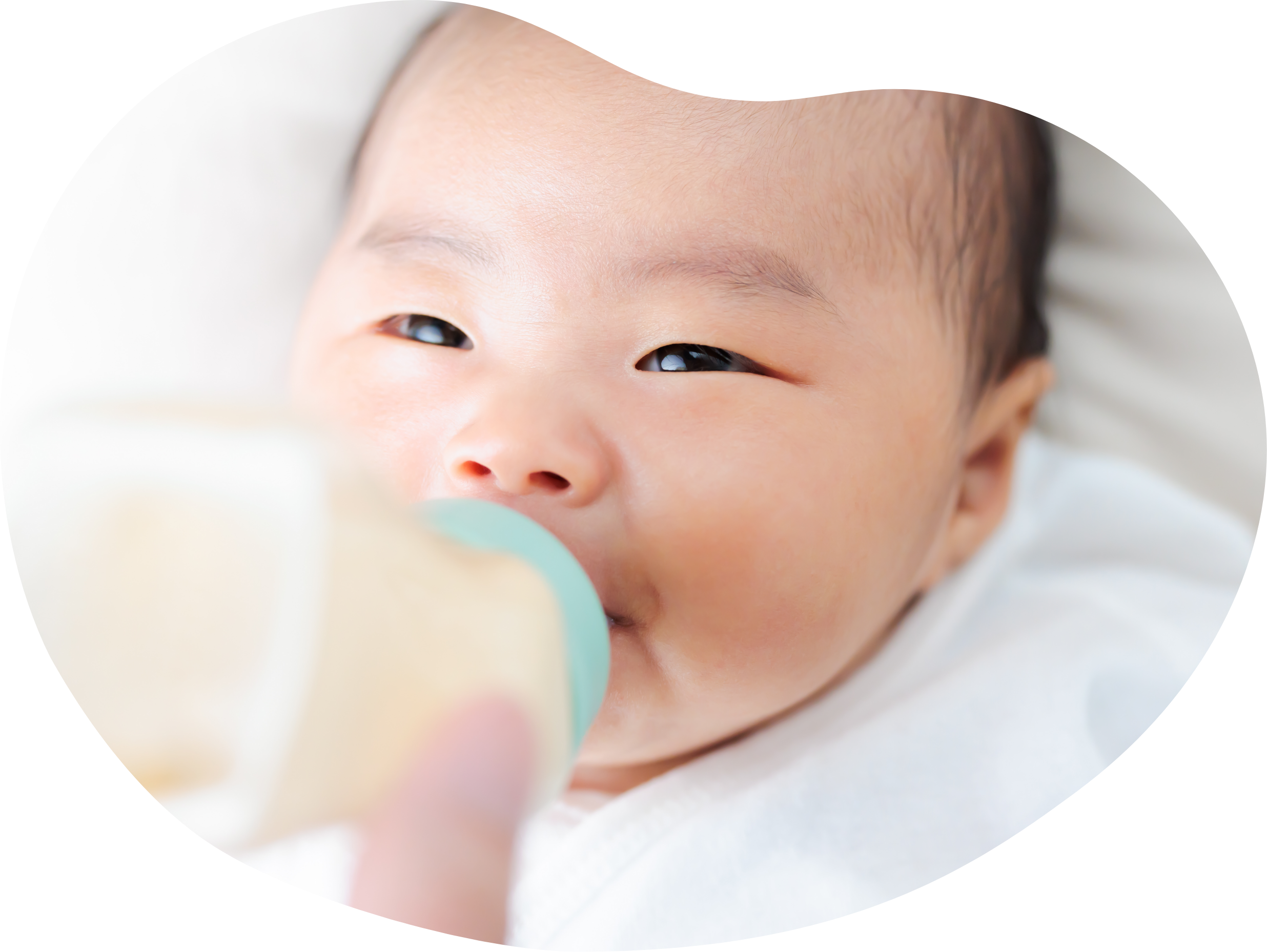 森永の研究｜商品情報｜妊娠・育児情報サイト「はぐくみ」｜森永乳業